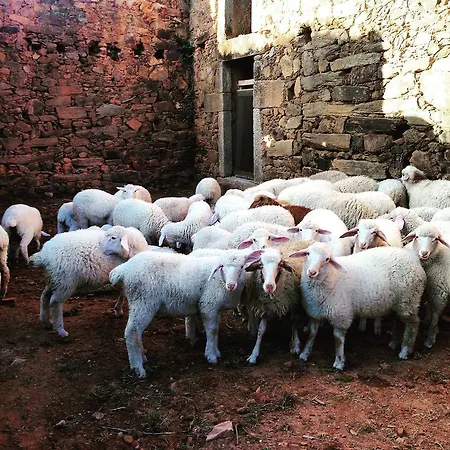 Farm stay Lugar Do Ainda *