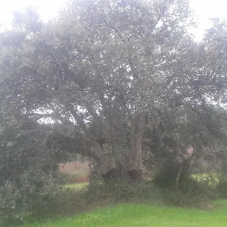 Farm stay Lugar Do Ainda *